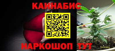 соль ск Лесосибирск